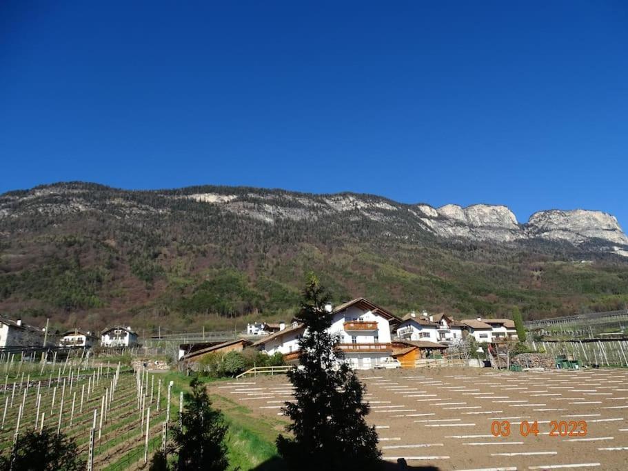Panoramaterrace, Wein & Relax Apartment *